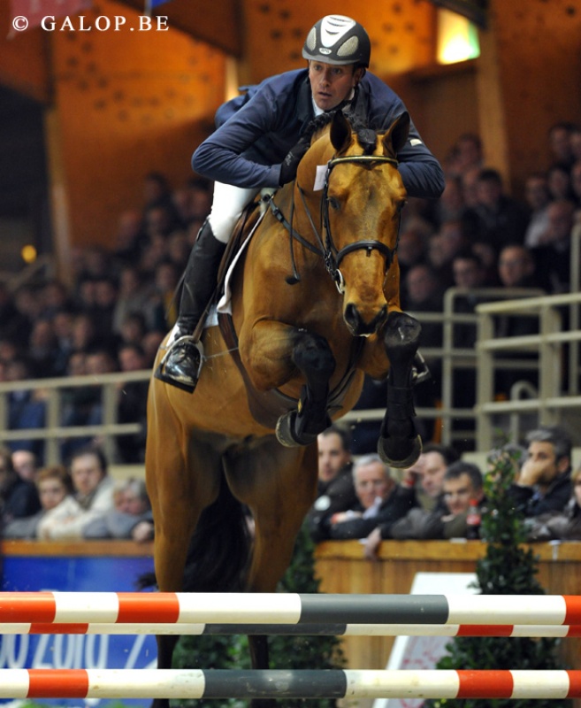 HENGSTENCOMPETITIE CSI GENT
